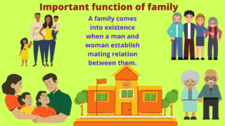 Characteristic of Family | Function of family