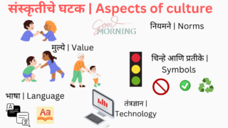 संस्कृतीचे घटक | Aspects of culture | Element of culture in Sociology