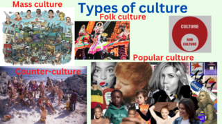 Types of culture