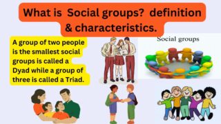 What is Social groups, definition, and characteristics.