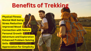 Benefits of Trekking Physical Fitness Mental Well-being Stress Reduction Improved Mood Connection with Nature Personal Growth Adventure and Exploration Enhanced Problem-Solving Skills Appreciation for Simplicity